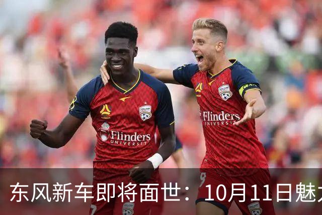 东风新车即将面世：10月11日魅力揭幕！